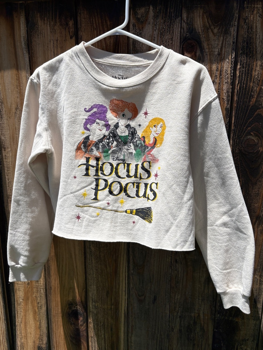 Disney Cream Hocus Pocus Cropped Graphic Sweatshirt